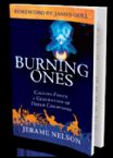 Burning Ones (book) by Jerame Nelson