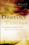 Destiny Thieves (book) by Sandie Freed