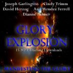 Glory Explosion: Manifesting Glory (15 MP3 Downloads) by Joseph Garlington, Cindy Trimm, David Herzog, Ana Mendez Ferrell, Dianne Palmer