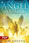 Angel Armies: Releasing the Warriors of Heaven (E-Book PDF Download) by Tim Sheets