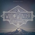 The Wild and The Wonder (MP3 Music Download) by David Baroni
