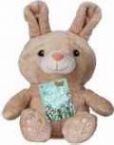 Plush-Bunny w/Easter Story Booklet (6 x 4)
