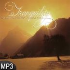CLEARANCE: Tranquility Harvest Sound Devotional Vol. 1 (MP3 Music Download) by Harvest Sound