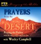 CLEARANCE: Prayers from the Desert (CD) Wes Campbell, Andre Lefebvre and  Nick Fenn
