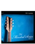 The Minstrel Series Part 2 (MP3  8 Teaching Download) by Ray Hughes